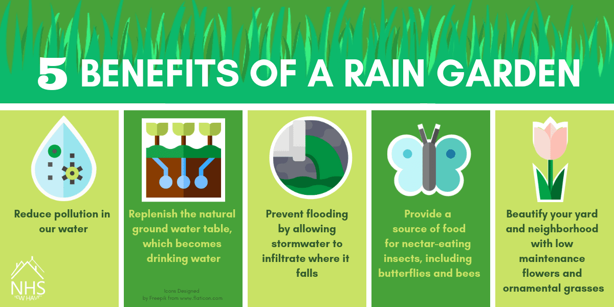 Why should you get a rain garden installed?