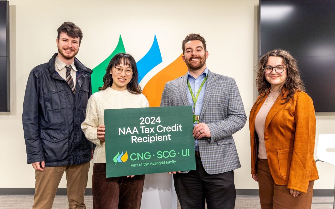 What is the Neighborhood Assistance Act Tax Credit Program?