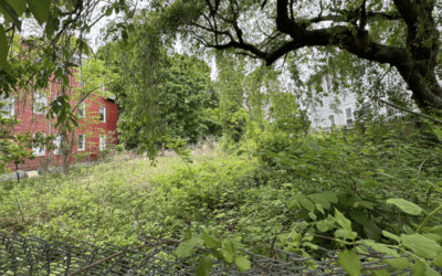 Building the Future: Four New Homes on the Way