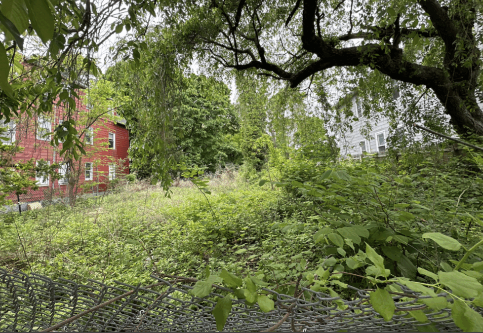 Building the Future: Four New Homes on the Way
